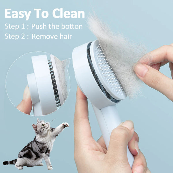 Hair Remover Brush